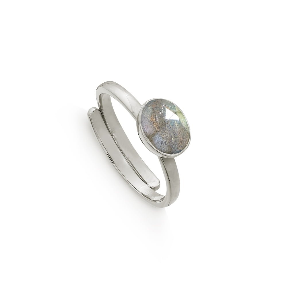 Atomic Mini Labradorite Silver Ring - Native Self