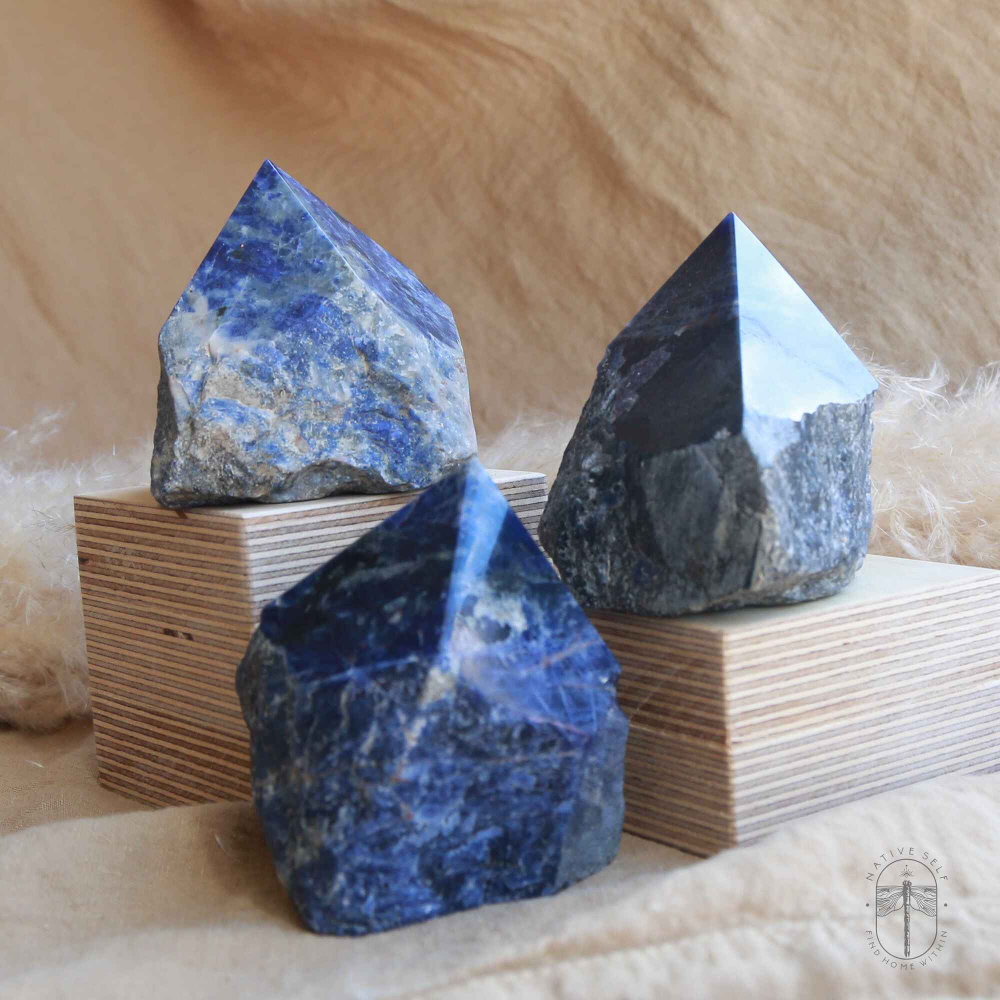 Sodalite Raw Points - Native Self